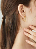 In my heart earrings